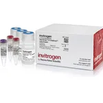 Thermo Fisher Scientific SuperScript IV CellsDirect Lysis Reagents