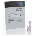 Thermo Fisher Scientific Alexa Fluor 430 NHS Ester (Succinimidyl Ester)