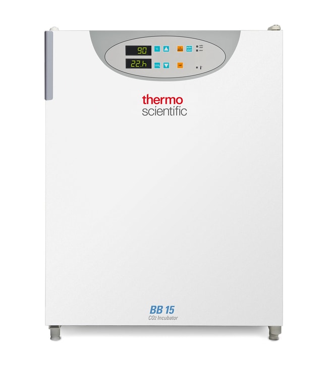 Thermo Fisher Scientific BB15 CO2 Incubator, Stainless steel, 230V 50/60 Hz