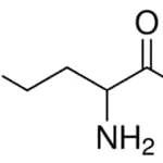 Merck DL-NORVALINE