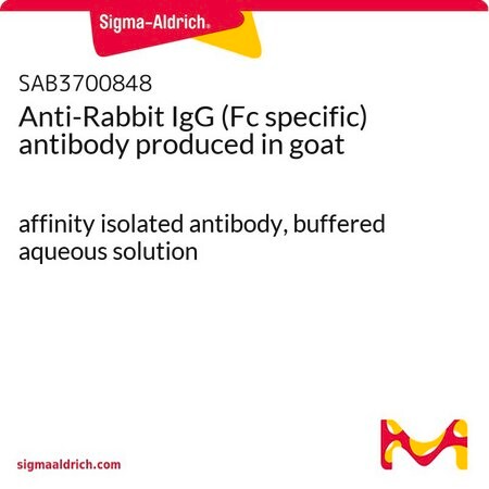 Merck Anti-Rabbit IgG (Fc specific) antibody produced in goat