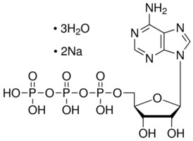 Merck ADENOSINE 5-TRIPHOSPHATE DISODIUM SALT