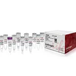 Thermo Fisher Scientific SuperScript Double-Stranded cDNA Synthesis Kit, 10 Reactions