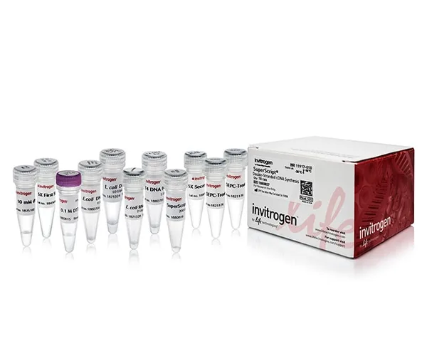 Thermo Fisher Scientific SuperScript Double-Stranded cDNA Synthesis Kit, 10 Reactions