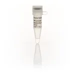 Thermo Fisher Scientific SP6 promoter Sequencing Primer, 18-mer