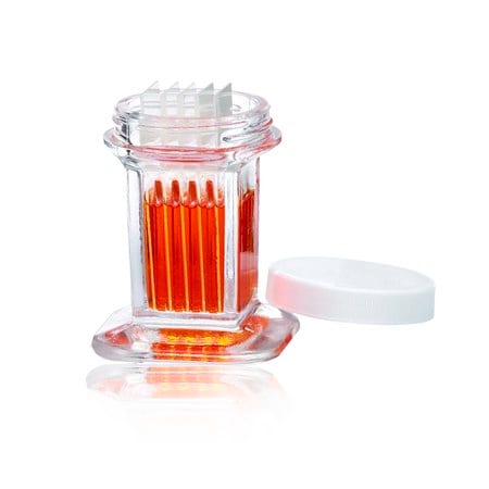 Merck Wheaton Coplin staining jars