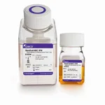 Thermo Fisher Scientific StemPro MSC SFM, 1 Kit