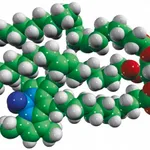 Merck 18:1-18:1-C11 TopFluor(R) TG