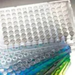 Thermo Fisher Scientific Armadillo PCR Plate, 96-well, yellow, semi-skirted, white wells