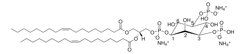 Merck 18:1 PI(3,5)P2