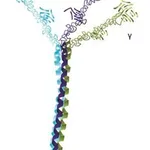 Merck LAMININ FROM FROM HUMAN PLACENTA LIQUID&