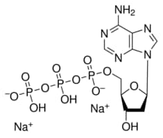 Merck 2``-DEOXYADENOSINE 5``-TRIPHOSPHATE
