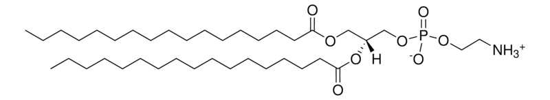 Merck 17:0 PE