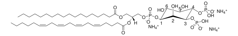 Merck 18:0-20:4 PI(3,4)P2