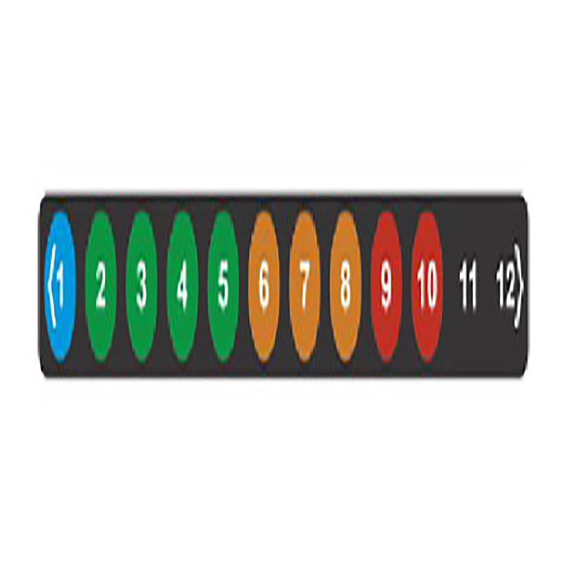 THERMAX 가역성 온도테이프 SCA 12LEVEL