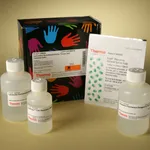 Thermo Fisher Scientific Lysosome Enrichment Kit for Tissues and Cultured Cells