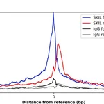 Merck Anti-SKIL antibody produced in rabbit