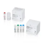 Thermo Fisher Scientific MycoSEQ Plus Mycoplasma Detection Kit, 100 reactions