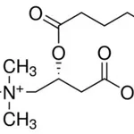 Merck VALERYL-L-CARNITINE