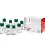 Thermo Fisher Scientific Buffer Kit, RNase-free