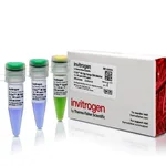Thermo Fisher Scientific E-Gel 96 High Range DNA Marker