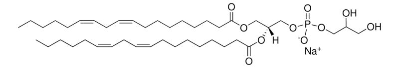 Merck 18:2 PG