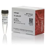 Thermo Fisher Scientific ATP