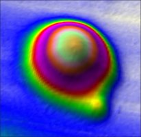 Merck BOVINE IMMUNOGLOBULIN G (IGG), FROM &