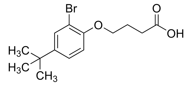 Merck 4-(2-Bromo-4-tert-butylphenoxy)butanoic acid