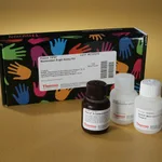 Thermo Fisher Scientific Mammalian beta-Galactosidase Assay Kit