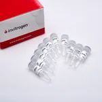 Thermo Fisher Scientific Nick Translation System