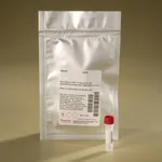 Thermo Fisher Scientific DyLight 755 NHS Ester, 1 mg