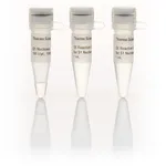 Thermo Fisher Scientific S1 Nuclease (100 U/μL)