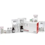 Thermo Fisher Scientific LeukoLOCK Total RNA Isolation System