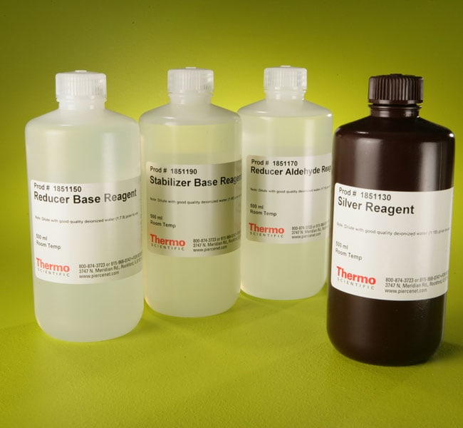 Thermo Fisher Scientific Pierce Color Silver Stain Kit