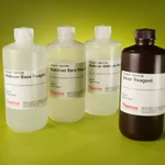 Thermo Fisher Scientific Pierce Color Silver Stain Kit