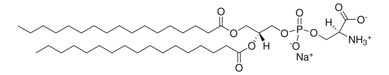Merck 17:0 PS