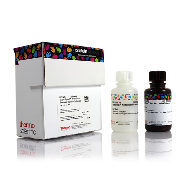 Thermo Fisher Scientific SuperSignal West Dura Extended Duration Substrate, 100 mL