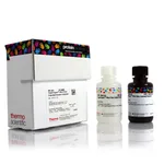 Thermo Fisher Scientific SuperSignal West Dura Extended Duration Substrate, 100 mL