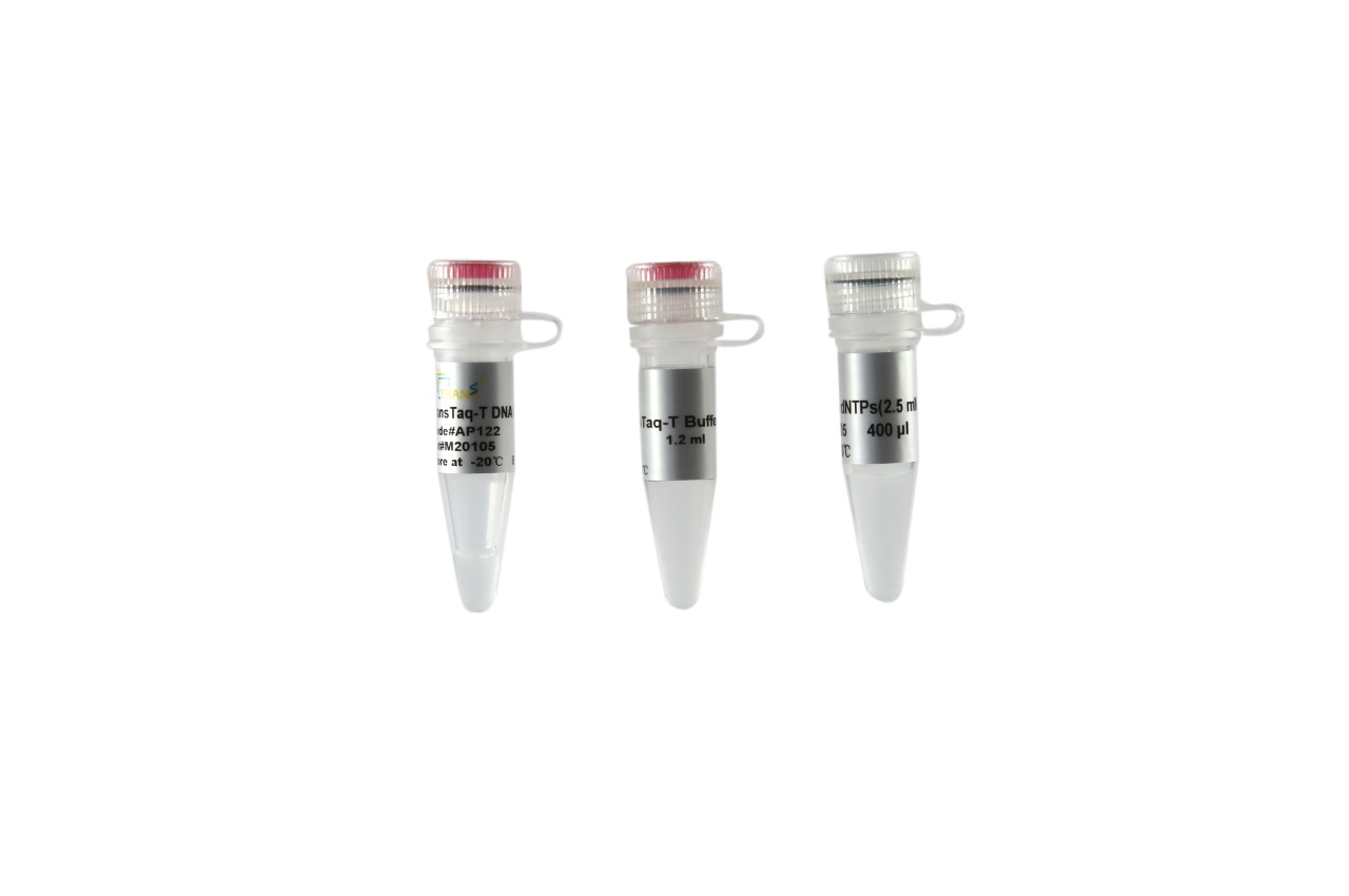 TransTaq®-T DNA Polymerase (with 2.5 mM dNTPs)