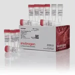 Thermo Fisher Scientific TA Cloning Kit, Dual Promoter, with pCRII Vector, without competent cells, 20 reactions