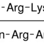 Merck HIV-1 TAT PROTEIN (47-57)