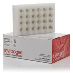 Thermo Fisher Scientific Pharma Magnetic Stand-96