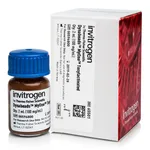 Thermo Fisher Scientific Dynabeads MyOne Tosylactivated, 2 mL