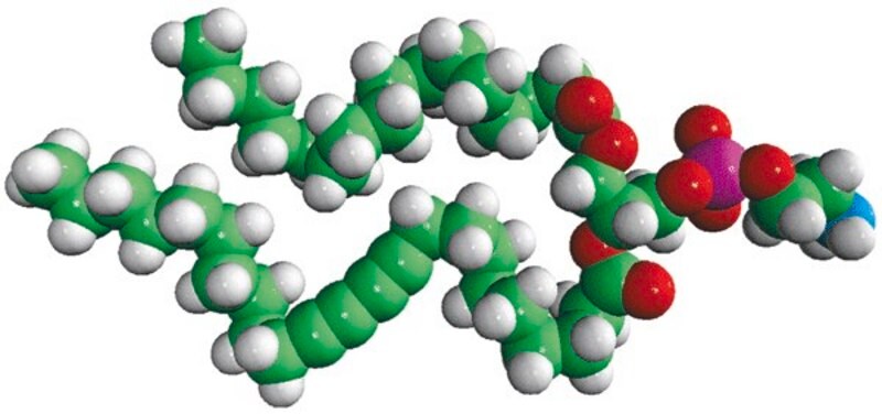 Merck 16:0-23:2 Diyne PE