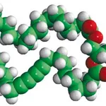 Merck 16:0-23:2 Diyne PE