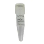 Thermo Fisher Scientific TurboFect Transfection Reagent, 1 mL