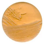 Merck Tryptic Soya Agar with Polysorbate 80 and Lecithin
