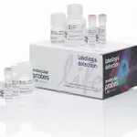 Thermo Fisher Scientific Click-iT Plus OPP Alexa Fluor 488 Protein Synthesis Assay Kit