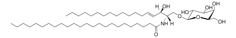 Merck C24:0 Galactosyl(beta)ceramide(d18:1/24:0)
